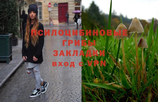 индика Шали