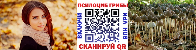 купить наркотики цена  Брянск  Галлюциногенные грибы ЛСД 